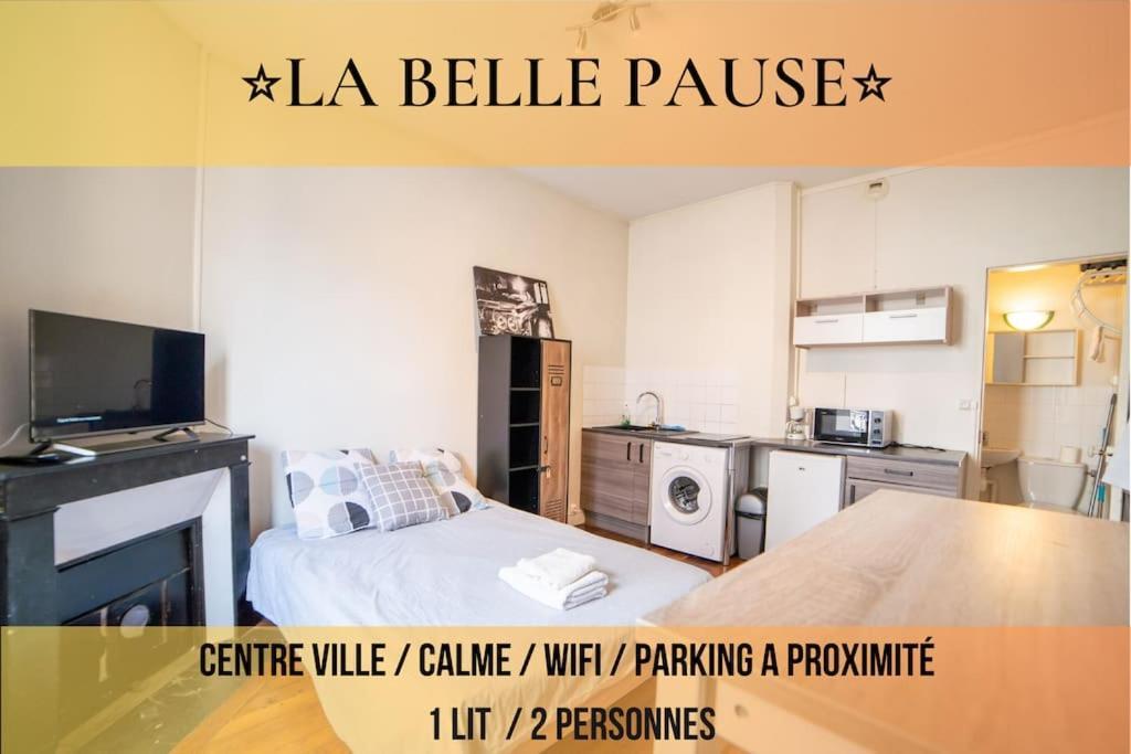 La Belle Pause - Studio Auxerre Proche Parking Eksteriør bilde